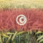 How to Improve Food Security in Tunisia: Step up Mutual Trade and Investment Links with the EU
