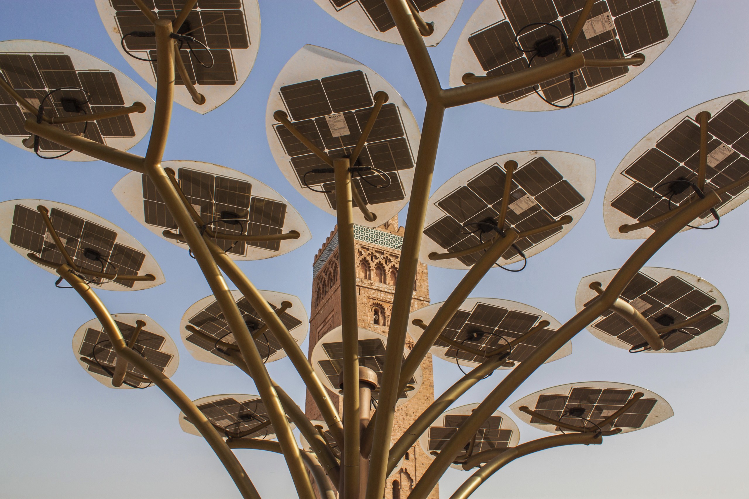 solar panels, green partnership