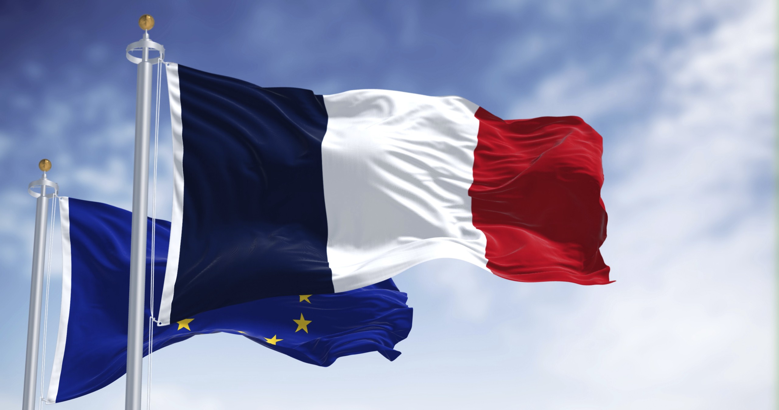 EU France Flag